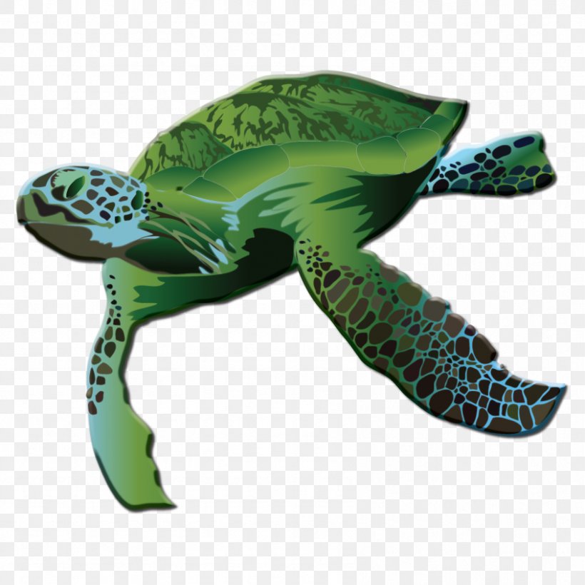Green Sea Turtle Reptile Logo, PNG, 846x847px, Turtle, Animal, Emydidae, Green Sea Turtle, Greene Turtle Download Free