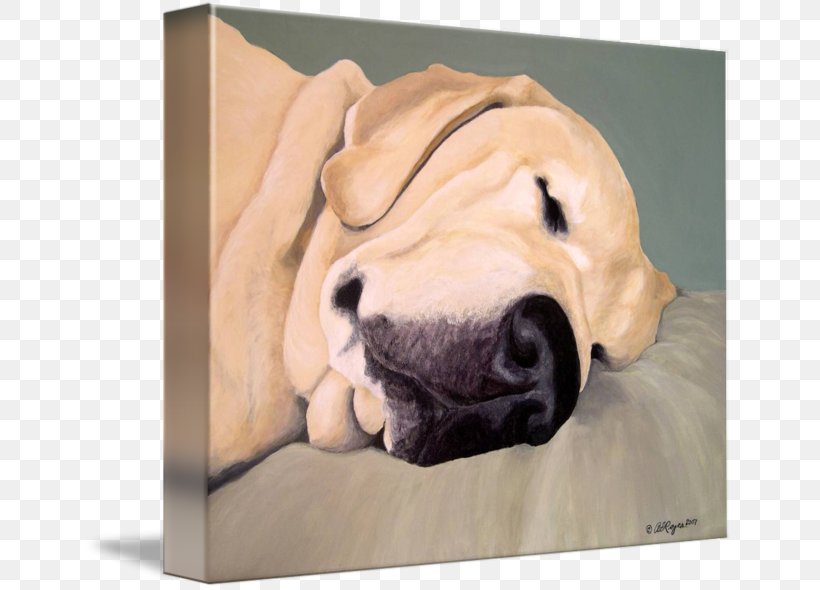 Labrador Retriever Puppy Dog Breed Sporting Group, PNG, 650x590px, Labrador Retriever, Art, Breed, Canvas, Carnivoran Download Free