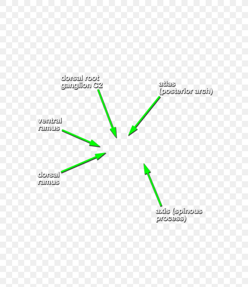 Line Angle Diagram, PNG, 631x950px, Diagram, Area, Text Download Free