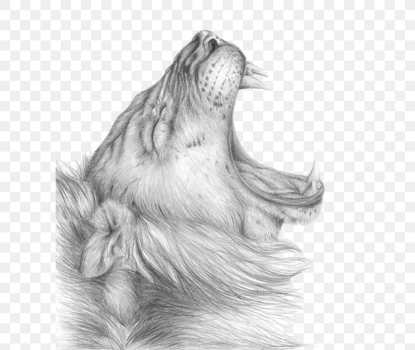 Lion Drawing Sketch, PNG, 600x693px, Lion, Artwork, Black And White, Carnivoran, Croquis Download Free