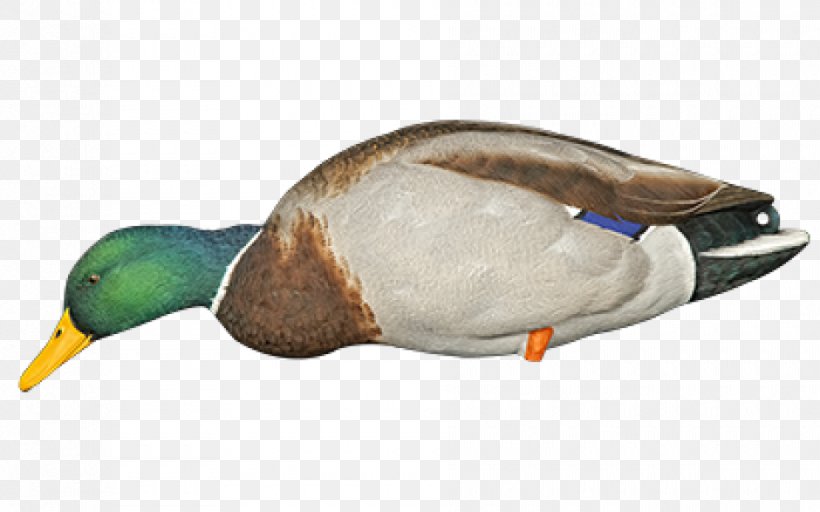 Mallard Duck Decoy Bird, PNG, 940x587px, Mallard, American Black Duck, Anseriformes, Beak, Bird Download Free