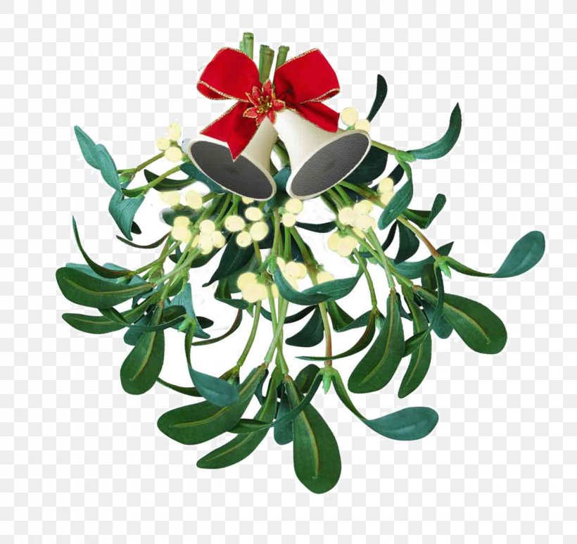 Mistletoe Kissing Traditions Phoradendron Tomentosum Christmas, PNG, 1320x1245px, Mistletoe, Christmas, Christmas Decoration, Christmas Plants, Drawing Download Free