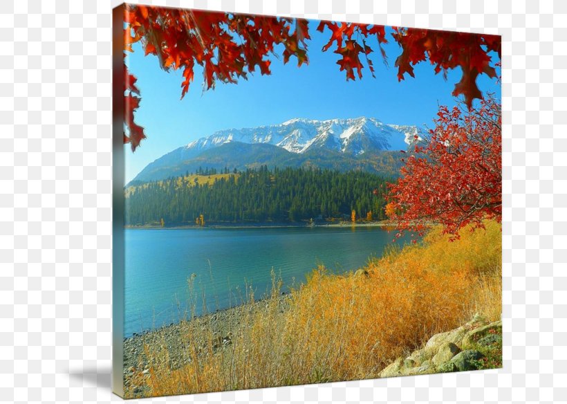 Mount Scenery Nature Ecosystem Painting State Park, PNG, 650x584px, Mount Scenery, Autumn, Ecosystem, Lake, Landscape Download Free