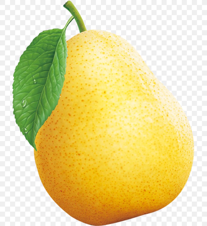 Sydney Citron Pyrus Nivalis Asian Pear Lemon, PNG, 721x897px, Sydney, Asian Pear, Bitter Orange, Citric Acid, Citron Download Free