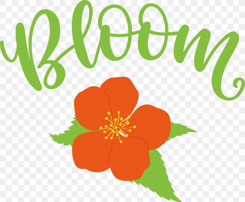 Bloom Spring Flower, PNG, 3000x2475px, Bloom, Bedroom, Decal, Flower, Kitchen Download Free