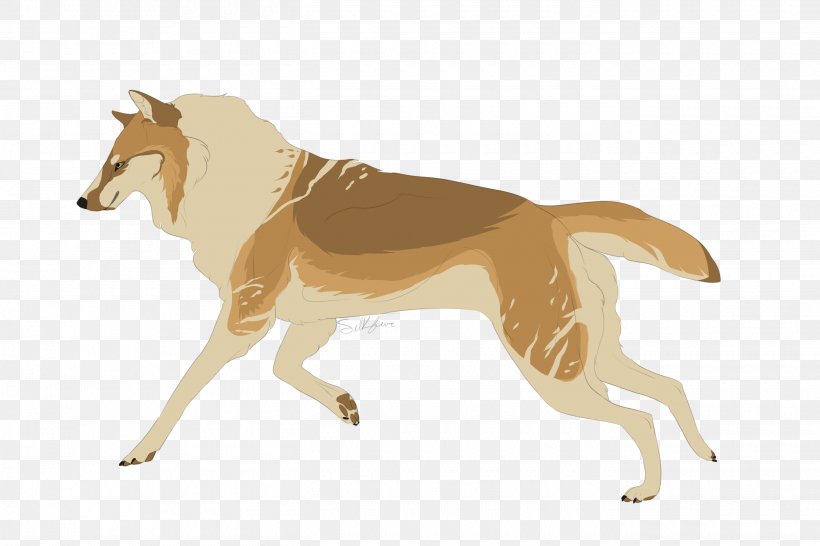 Dog Breed Dingo Canidae Mammal, PNG, 2700x1800px, Dog, Animal, Breed, Canidae, Carnivora Download Free