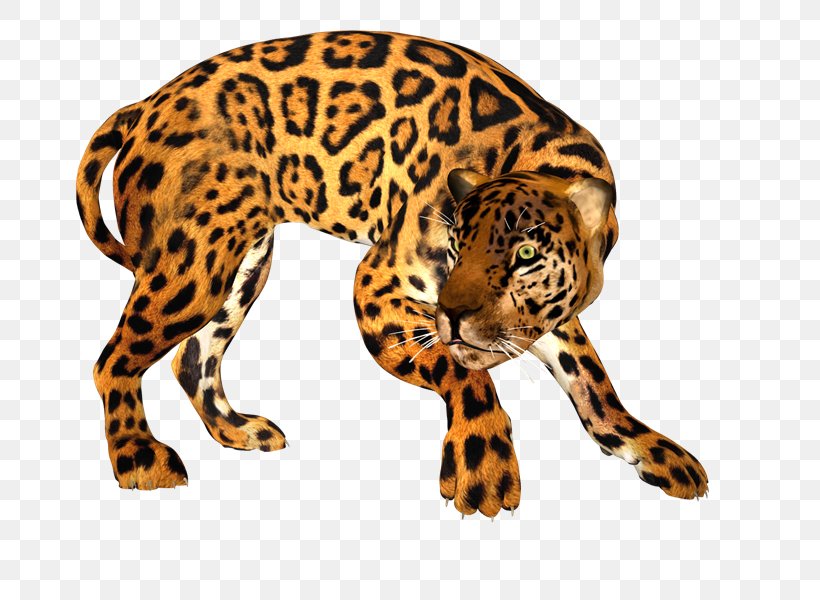 Jaguar Leopard Tiger Cheetah Lion, PNG, 800x600px, Jaguar, Animal, Animal Figure, Big Cats, Carnivoran Download Free