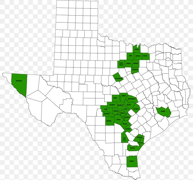 Texas Line Angle Diagram, PNG, 800x764px, Texas, Area, Diagram, Map Download Free