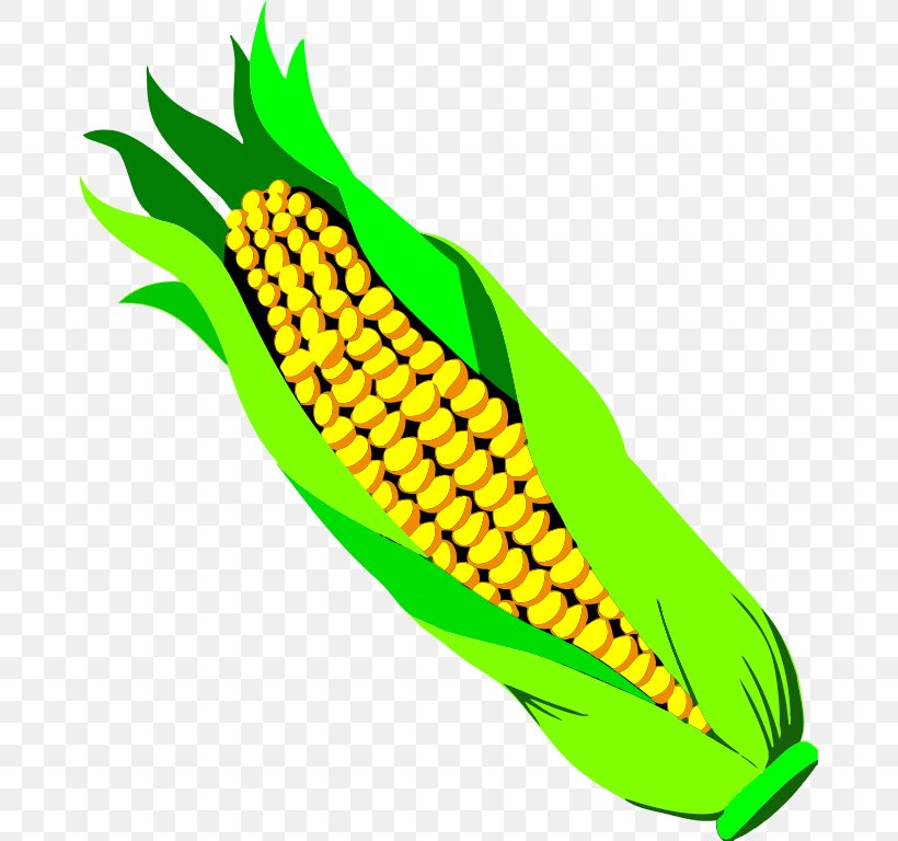 Corn On The Cob Popcorn Maize Candy Corn Clip Art, PNG, 674x768px, Corn On The Cob, Artwork, Candy Corn, Commodity, Corn Flakes Download Free
