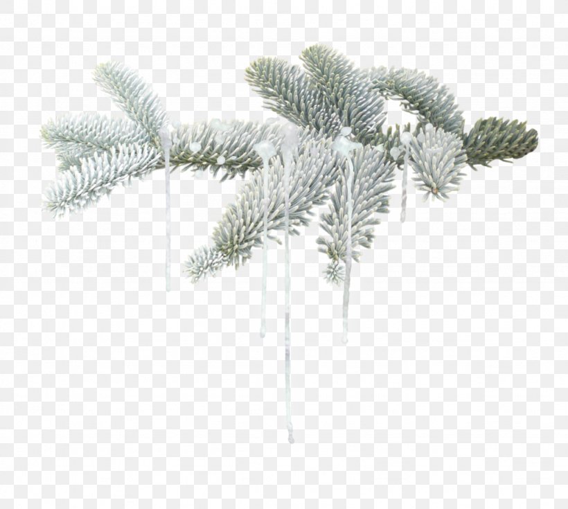Fir Winter Tree Christmas, PNG, 1024x919px, Fir, Autumn, Branch, Christmas, Conifer Download Free