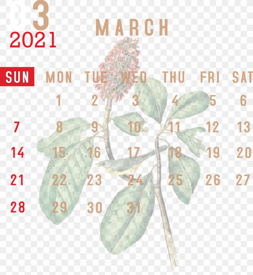 Meter Font Ribbon Hair, PNG, 2763x3000px, 2021 Calendar, March 2021 Printable Calendar, Hair, March Calendar, Meter Download Free