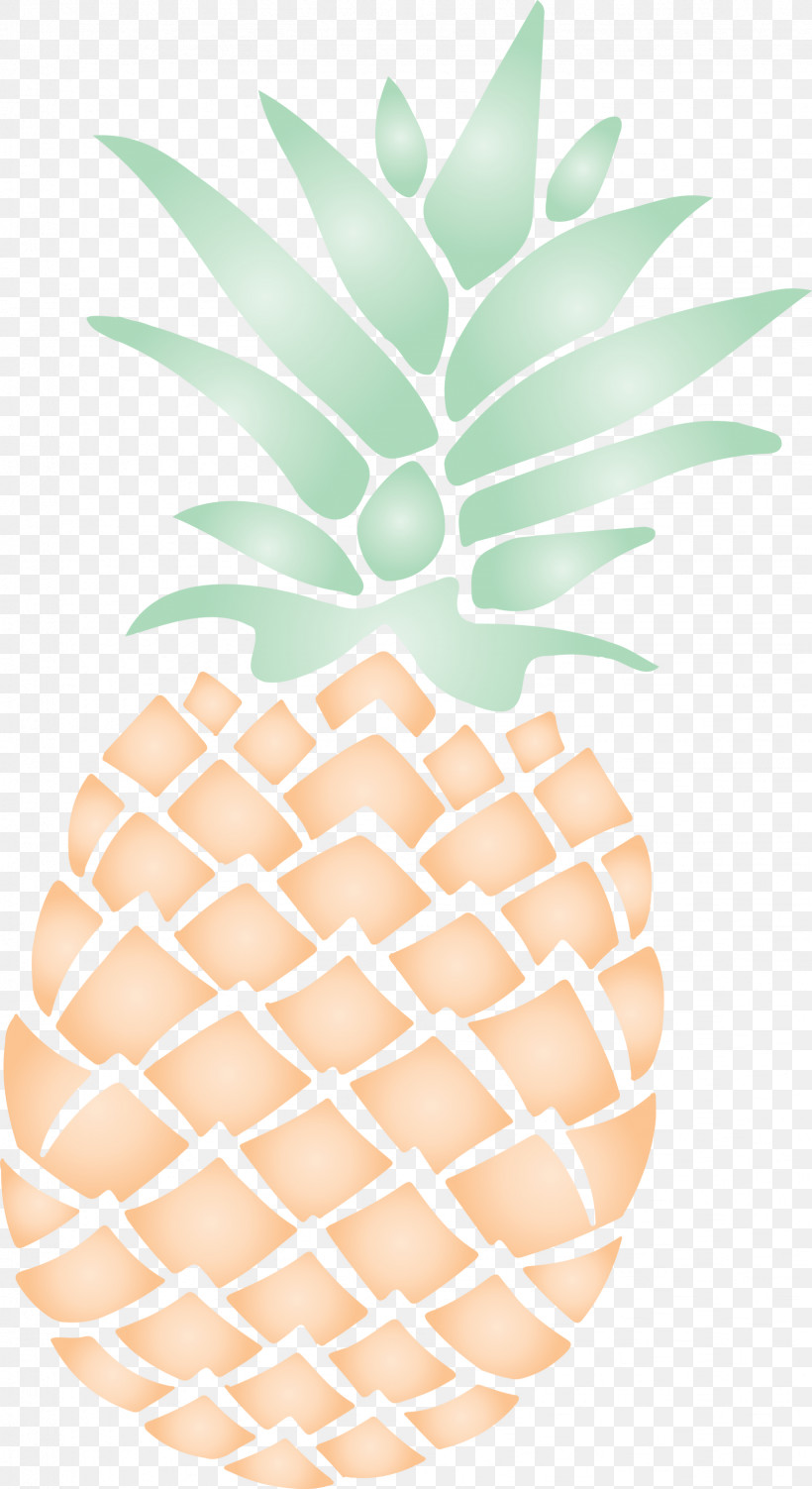 Pineapple Tropical Summer, PNG, 1636x3000px, Pineapple, Flowerpot, Line, Mtree, Summer Download Free