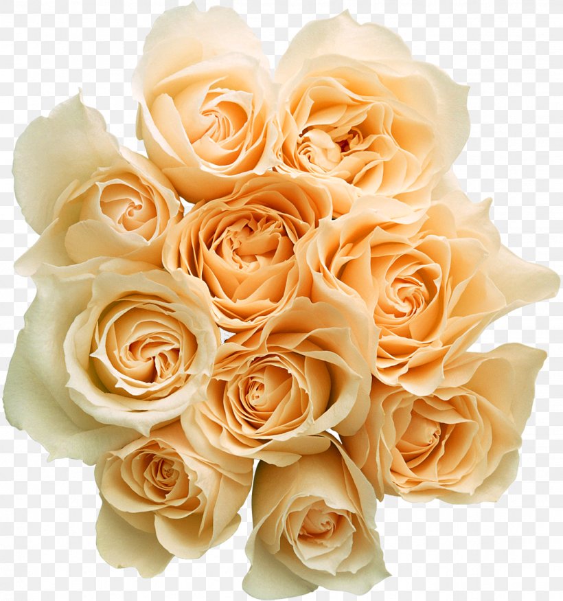 Flower Bouquet Garden Roses, PNG, 1124x1200px, Flower, Cut Flowers, Dots Per Inch, Floral Design, Floribunda Download Free