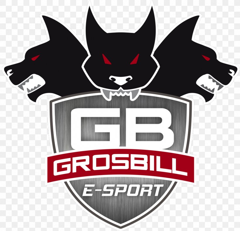 League Of Legends World Championship GrosBill Paris 13 Electronic Sports GrosBill SA, PNG, 1000x965px, League Of Legends, Brand, Dreamhack, Eclypsia, Electronic Sports Download Free