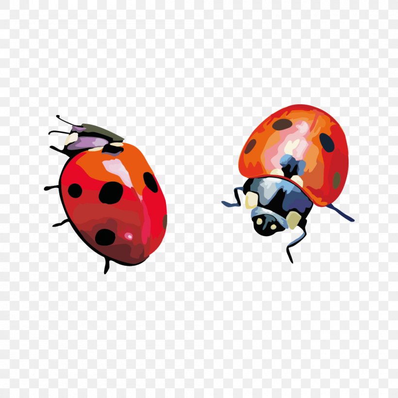 Coccinella Septempunctata Insect Clip Art, PNG, 1000x1000px, Coccinella Septempunctata, Beetle, Coccinella, Information, Insect Download Free