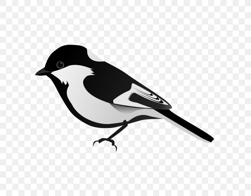 American Sparrows Eurasian Magpie Beak White, PNG, 640x640px, American Sparrows, Beak, Bird, Black And White, Emberizidae Download Free