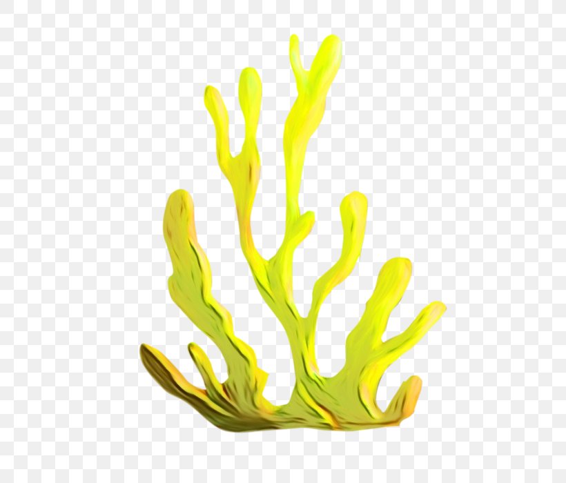 Aquarium Decor Yellow Hand Plant, PNG, 621x700px, Watercolor, Aquarium Decor, Hand, Paint, Plant Download Free