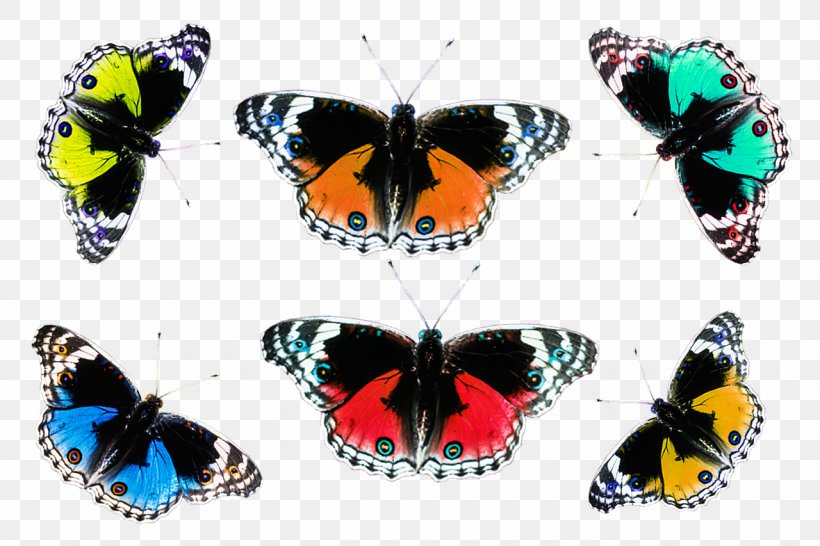 Brush-footed Butterflies Butterfly Insect, PNG, 1280x853px, Brushfooted Butterflies, Animaatio, Arthropod, Brush Footed Butterfly, Butterflies And Moths Download Free
