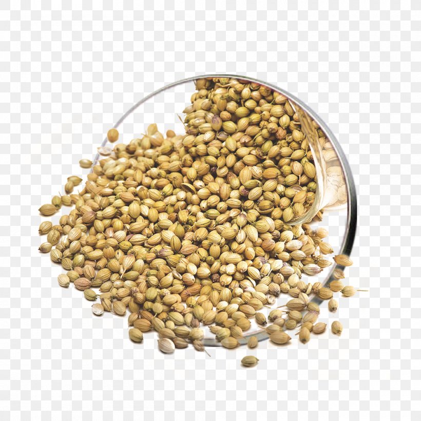 Lentil Coriander Vegetarian Cuisine Seed Herb, PNG, 1000x1000px, Lentil, Bean, Cereal, Commodity, Coriander Download Free