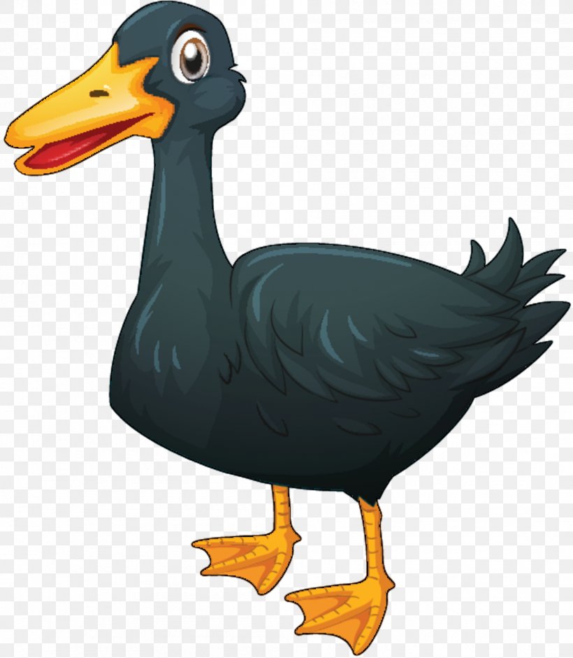 Duck Illustration Vector Graphics Royalty-free Stock Photography, PNG, 1903x2186px, Duck, American Black Duck, Beak, Bird, Can Stock Photo Download Free