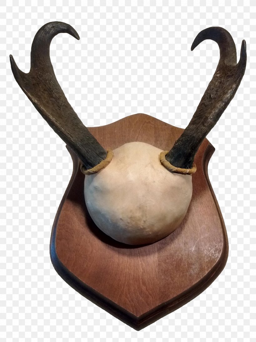 Sable Antelope Pronghorn Antler, PNG, 1920x2560px, Antelope, Antique, Antler, Artifact, Chairish Download Free