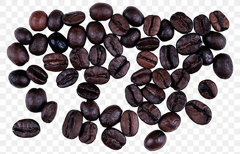 Velvet Bean Bean Food Plant Seed, PNG, 3000x1931px, Velvet Bean, Bean, Food, Fruit, Plant Download Free