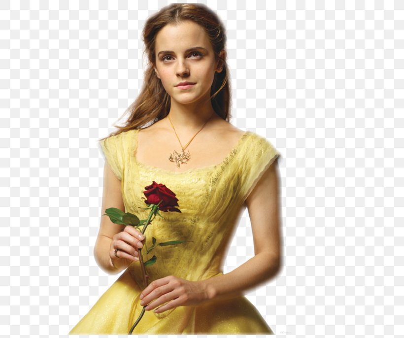 Beauty And The Beast Belle Emma Watson Drawing, PNG, 600x686px, Watercolor, Cartoon, Flower, Frame, Heart Download Free