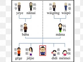 Chinese Family - Mandarin Chinese Family Tree Chinese Kinship PNG