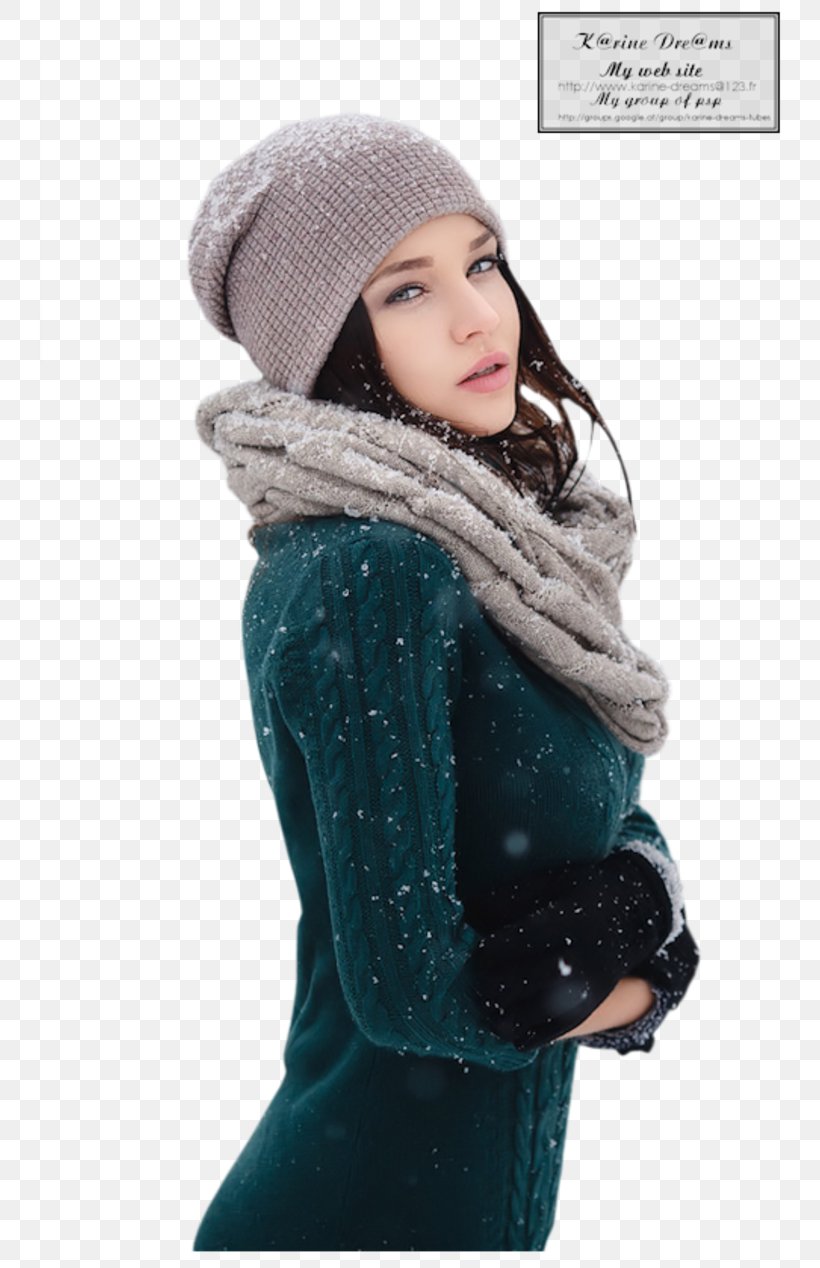 Wool Knit Cap Bonnet Scarf Headgear, PNG, 800x1268px, Wool, Beanie, Blog, Bonnet, December Download Free