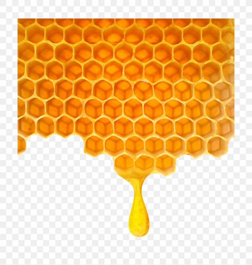 Bee Honeycomb, PNG, 1133x1190px, Bee, Beehive, Honey, Honeycomb, Membrane Winged Insect Download Free