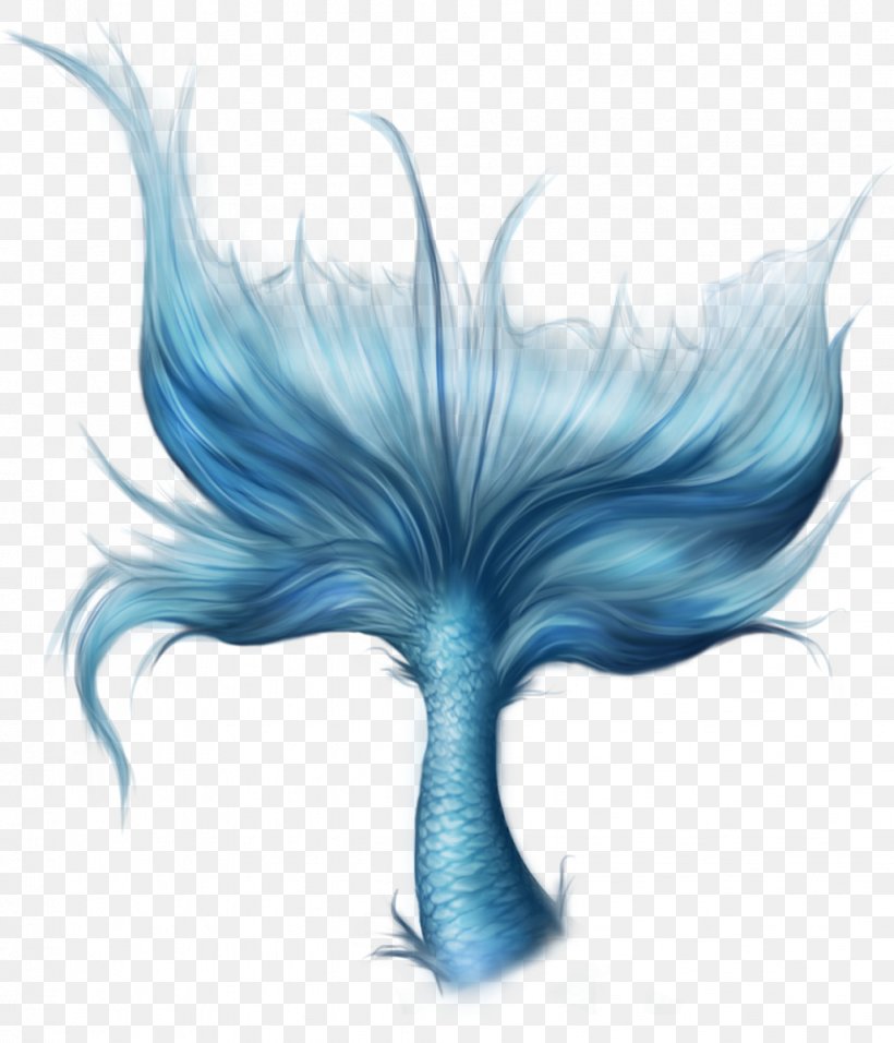 Mermaid Tail, PNG, 1029x1200px, Merliah Summers, Blue, Clothing, Electric Blue, Fairy Download Free
