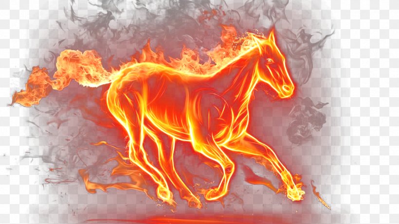 Mustang Fire Horse Display Resolution Wallpaper, PNG, 1366x768px, Watercolor, Cartoon, Flower, Frame, Heart Download Free