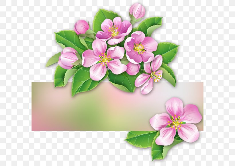 The Plum Blossoms Blog Idea Clip Art, PNG, 600x579px, Plum Blossoms, Art, Blog, Blossom, Branch Download Free