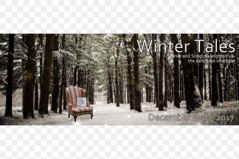 Forest Stock Photography Tree Winter, PNG, 1170x780px, Forest, Freezing, Photography, Snow, Stock Photography Download Free