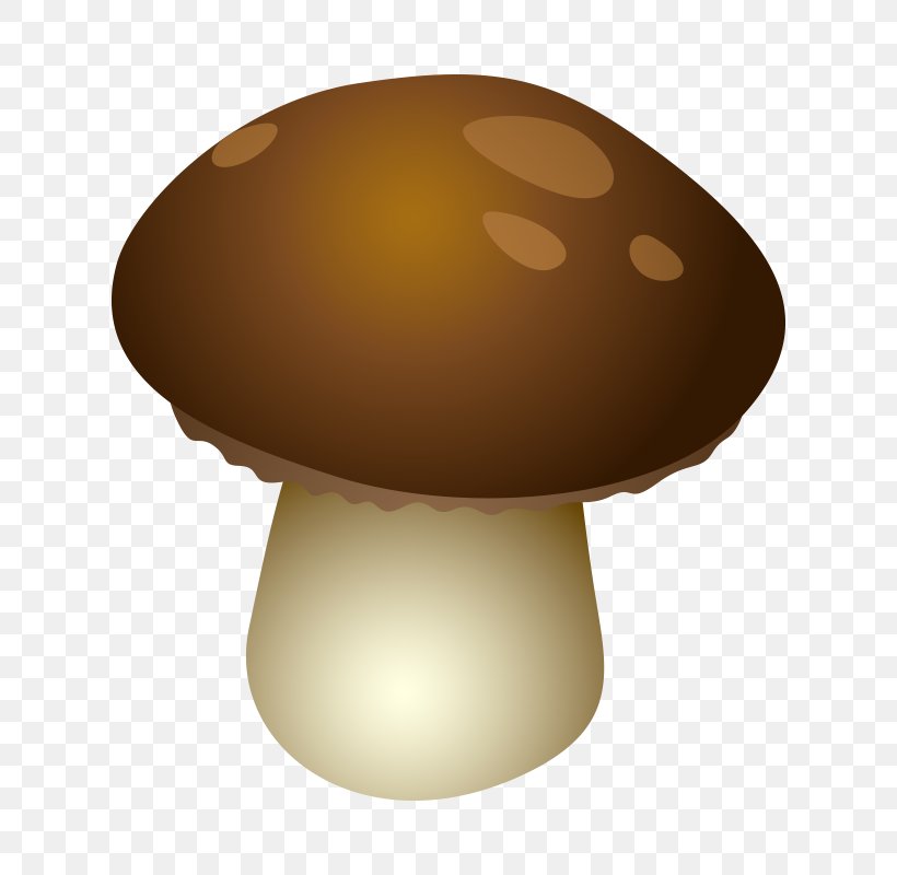 Fungus Mushroom Euclidean Vector, PNG, 800x800px, Fungus, Cartoon, Designer, Lamp, Lighting Download Free