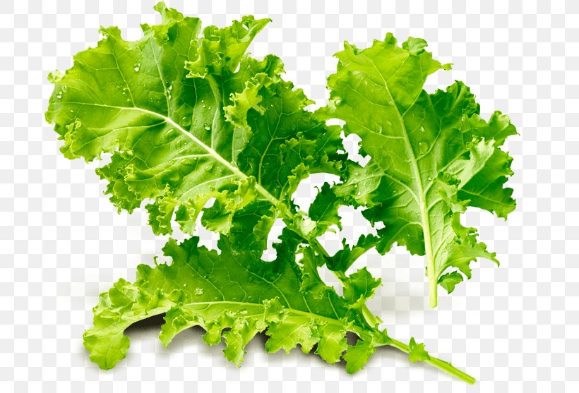 Romaine Lettuce Spring Greens Collard Greens Kale Rapini, PNG, 800x557px, Romaine Lettuce, Collard Greens, Food, Herb, Kale Download Free