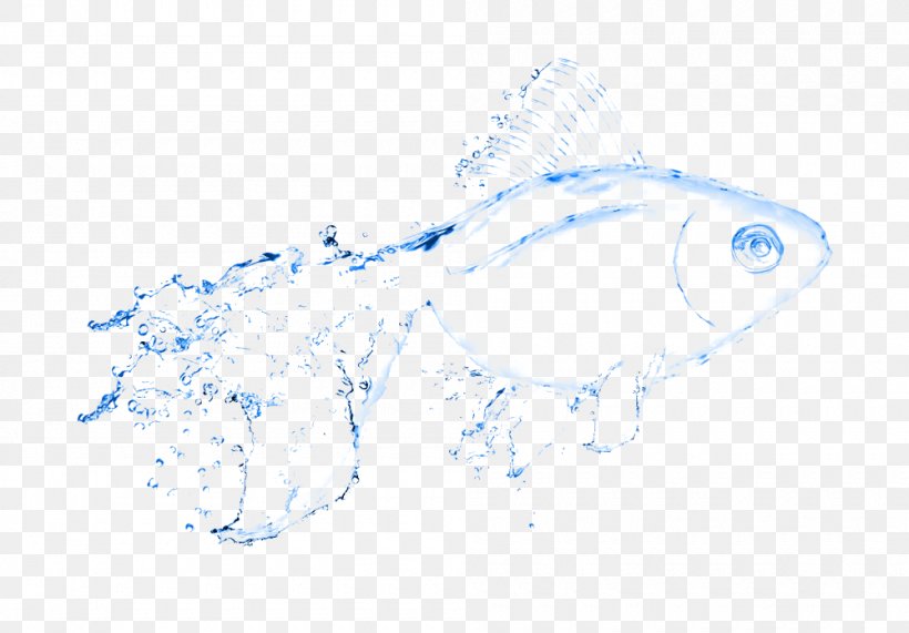 Water Splash Photography, PNG, 1000x697px, Water, Artwork, Blue, Drawing, Drop Download Free