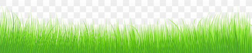 Wheatgrass Green Leaf Plant Stem Wallpaper, PNG, 11350x2396px, Wheatgrass, Computer, Energy, Grass, Grass Family Download Free