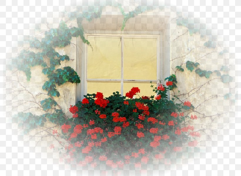 Window Desktop Wallpaper Flower Wallpaper, PNG, 800x600px, Window, Branch, Christmas Decoration, Christmas Ornament, Desktop Metaphor Download Free