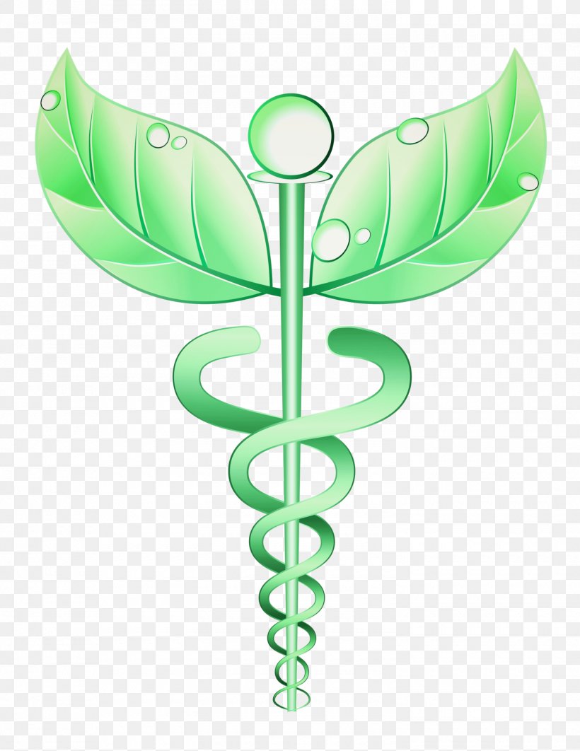 Alternative Health Services Medicine Naturopathy Health Care Staff Of Hermes, PNG, 1500x1944px, Alternative Health Services, Acupuncture, Caduceus As A Symbol Of Medicine, Dentistry, Flora Download Free