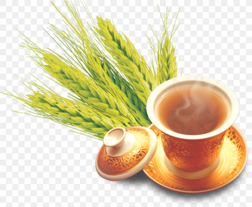 Barley Tea Mate Cocido Wheat, PNG, 2170x1787px, Barley Tea, Barley, Caffeine, Carrier Oil, Cereal Download Free