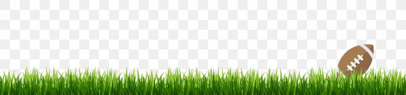 Grasses Green Commodity Line Tree, PNG, 1920x450px, Grasses, Commodity, Family, Grass, Grass Family Download Free