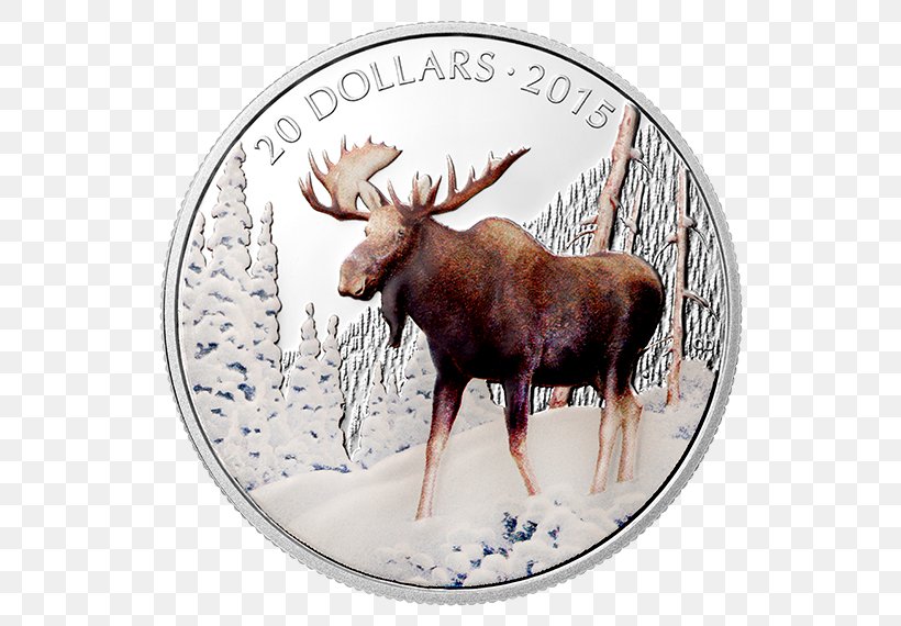 Moose Reindeer Antler Dollar Coin, PNG, 570x570px, Moose, Antler, Coin, Deer, Dollar Coin Download Free