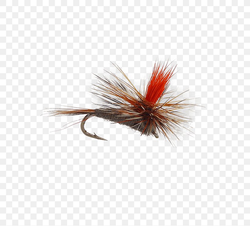 Artificial Fly Fly Fishing Parachute, PNG, 555x741px, Artificial Fly, Crane Fly, Fishing, Fishing Bait, Fly Download Free