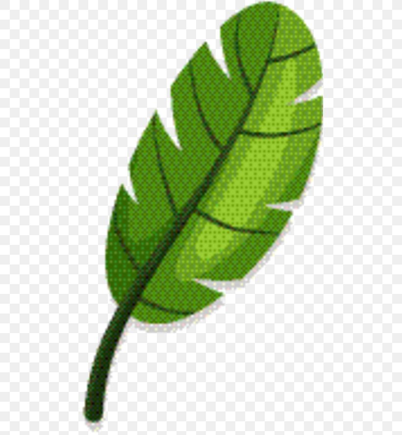 Green Leaf Background, PNG, 498x888px, Leaf, Flower, Green, Plant, Plant Stem Download Free