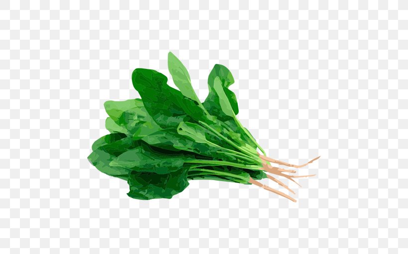 Spinach Chard Herb Dock Food, PNG, 512x512px, Spinach, Arugula, Chard, Choy Sum, Dill Download Free