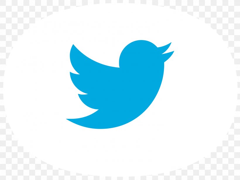 YouTube Social Media Logo, PNG, 1491x1119px, Youtube, Beak, Bird, Logo, Sky Download Free