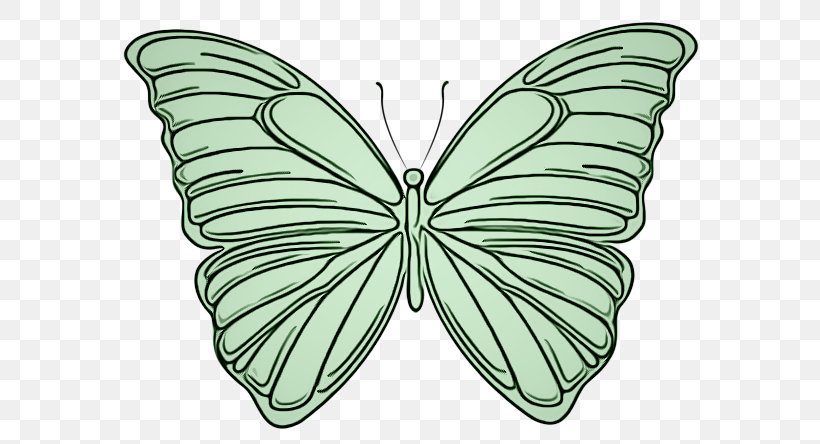 Butterfly Moths And Butterflies Insect Green Leaf, PNG, 600x444px, Butterfly, Brushfooted Butterfly, Green, Insect, Leaf Download Free