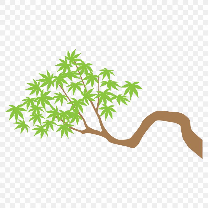 Maple Branch Maple Leaves Maple Tree, PNG, 1200x1200px, Maple Branch, Branch, Flower, Grass, Green Download Free