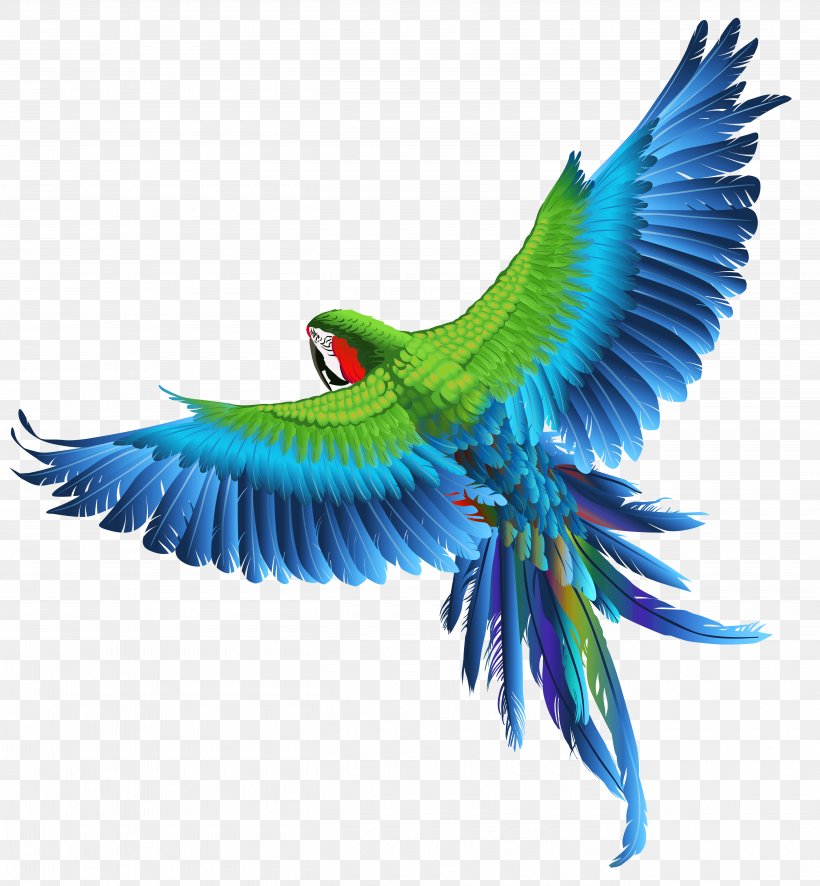 Parrot Bird Macaw Clip Art, PNG, 5240x5665px, Bird, Beak, Budgerigar, Common Pet Parakeet, Fauna Download Free